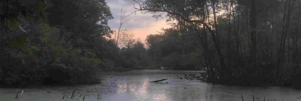 Dawn at the pond on 2022-08-22