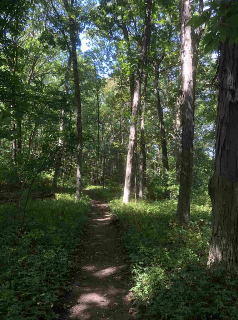 Loop trail walking towards entrance