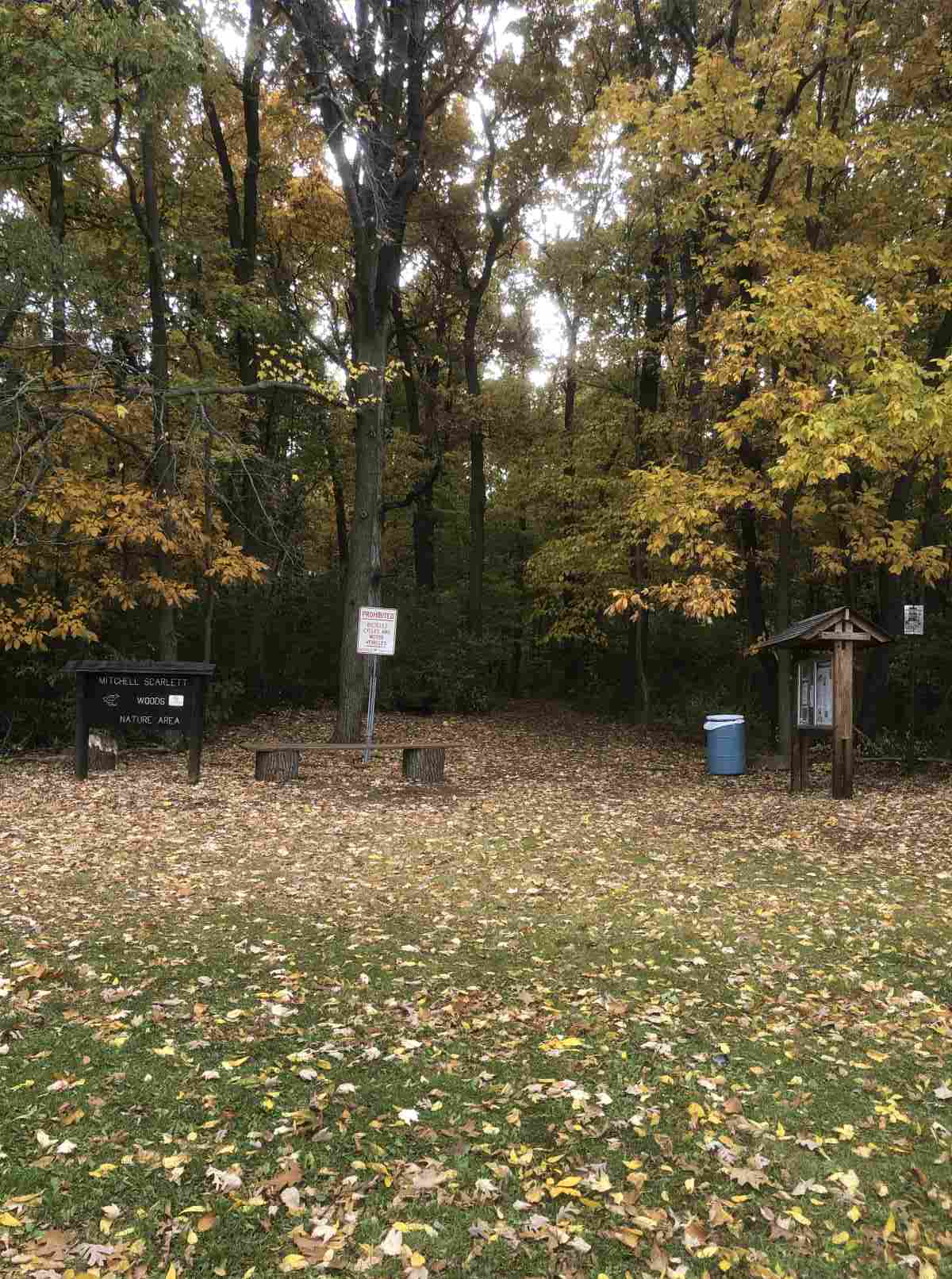 Loop trail, trail entrance