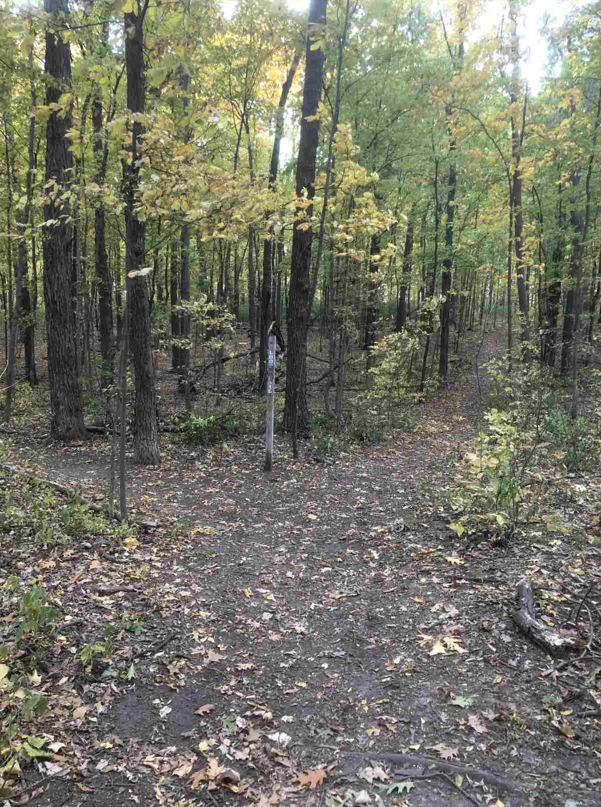 Loop trail, heading east or south paths