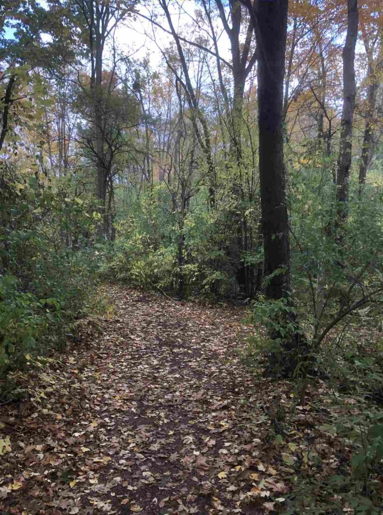 Loop trail, loop or Turnberry paths