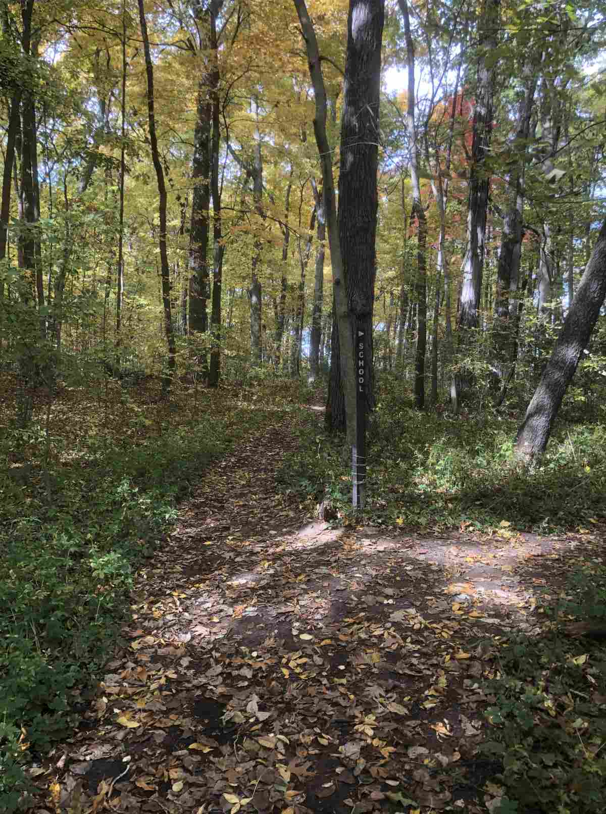 Loop trail, loop or School paths