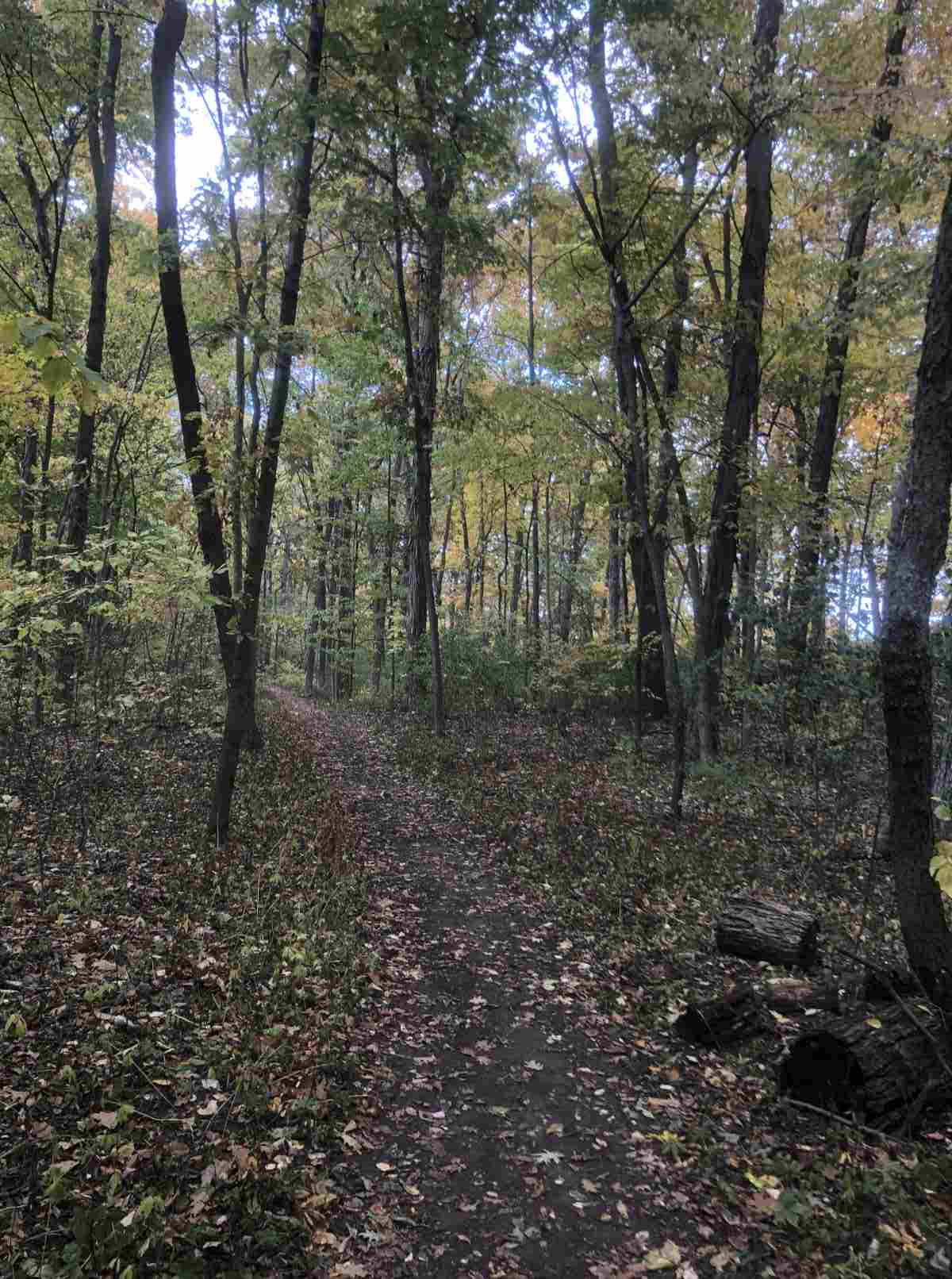 Loop trail, loop towards entrance