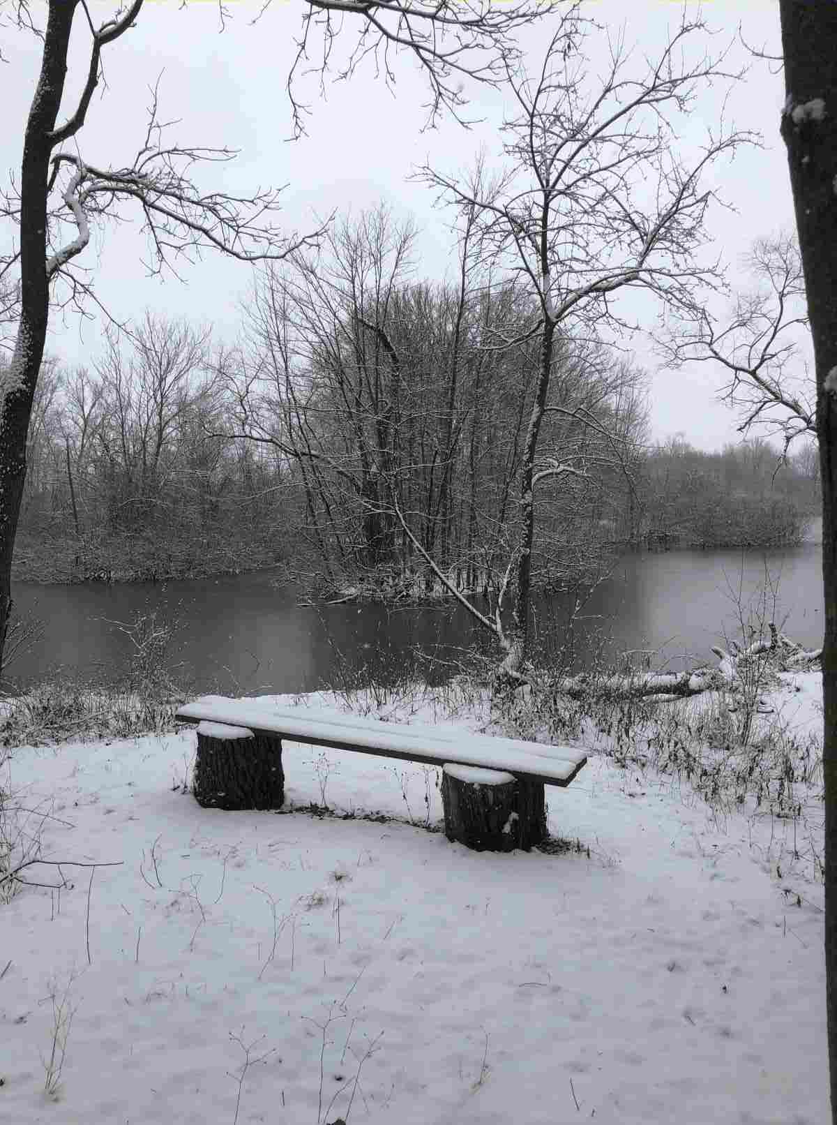 Loop Trail, the pond from the loop trail