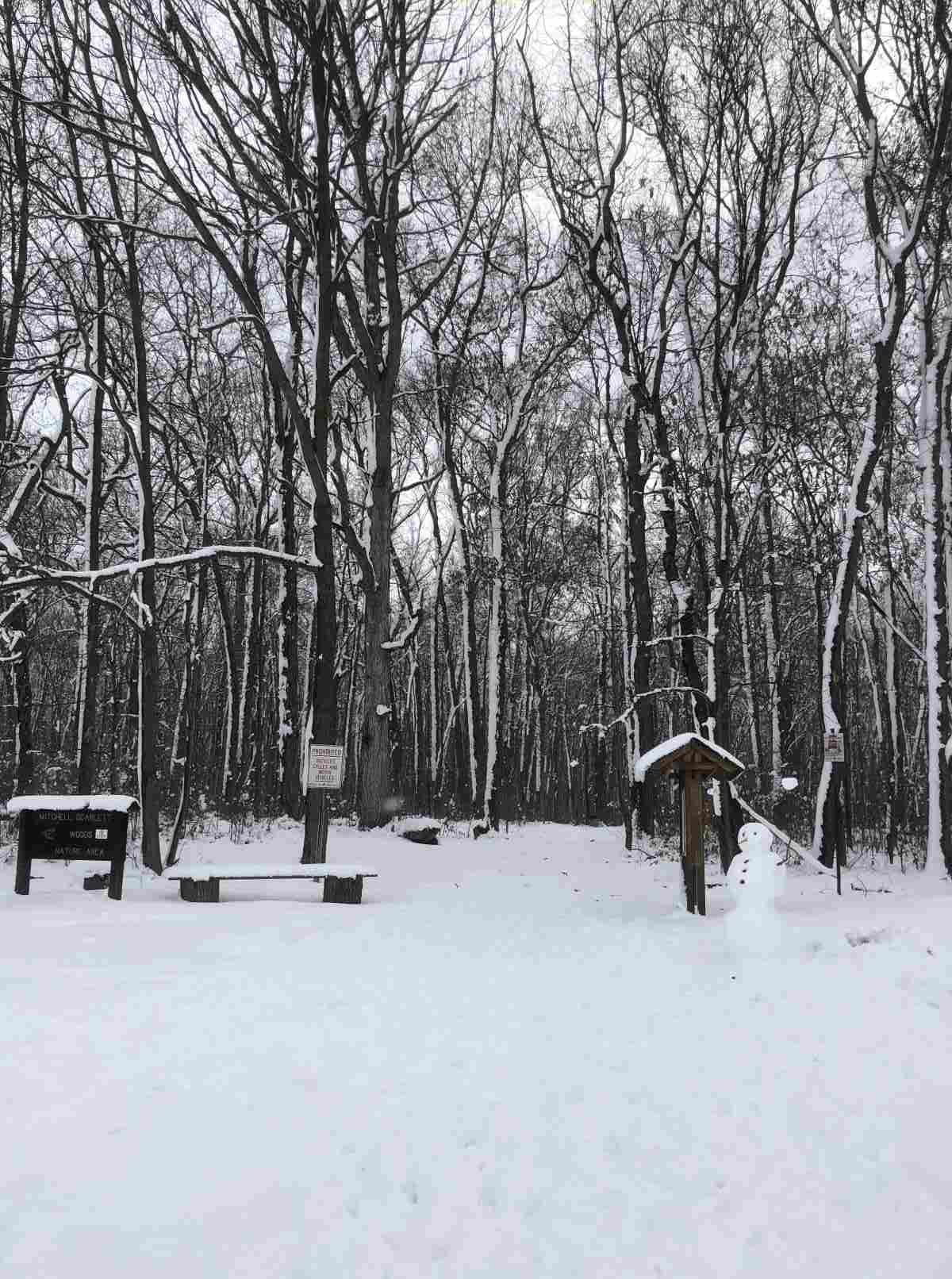 Loop trail entrance