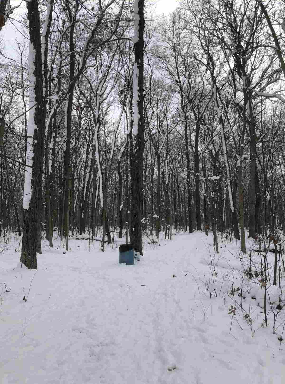 Loop Trail, pond or south