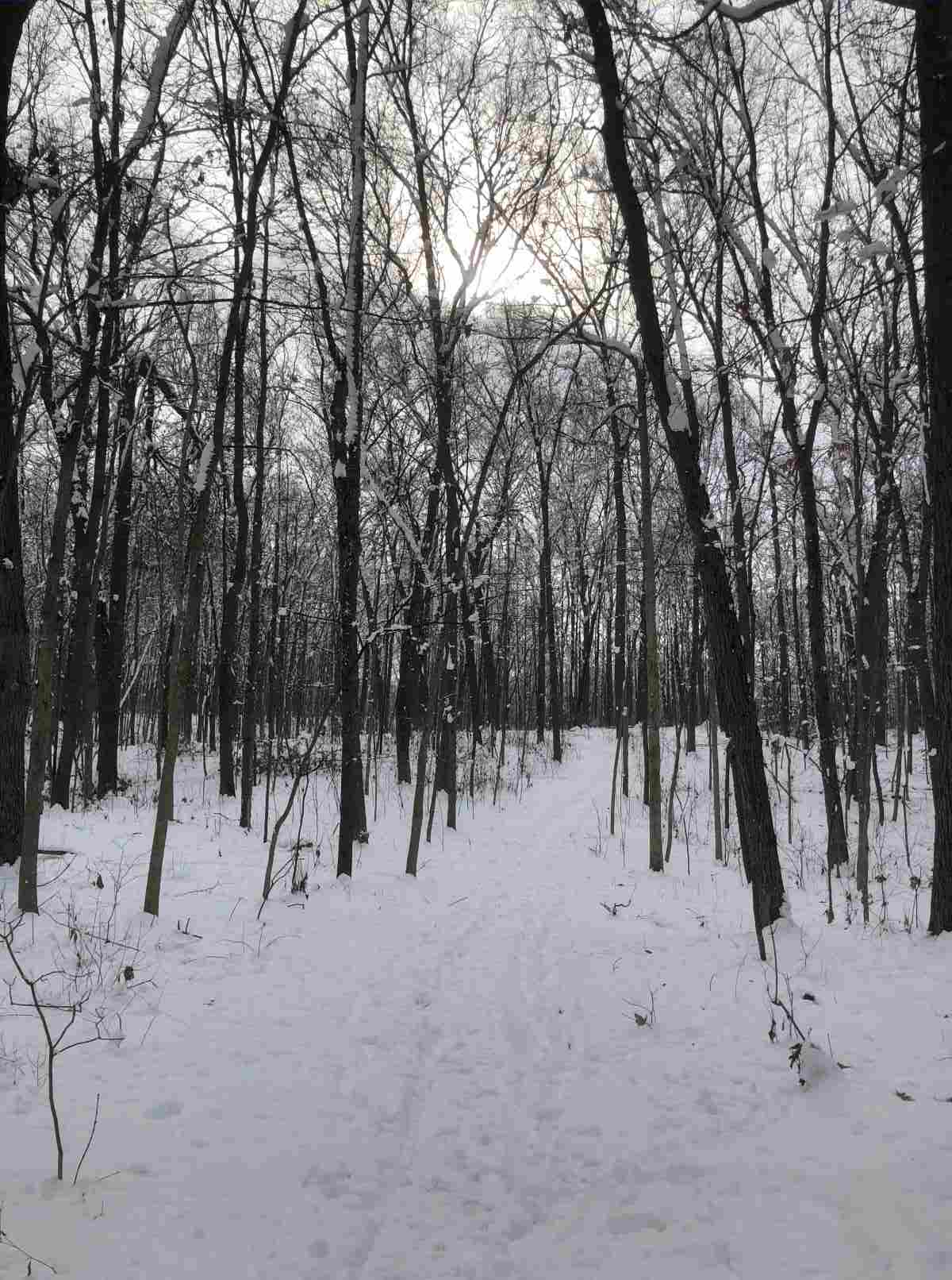 Loop Trail, heading south