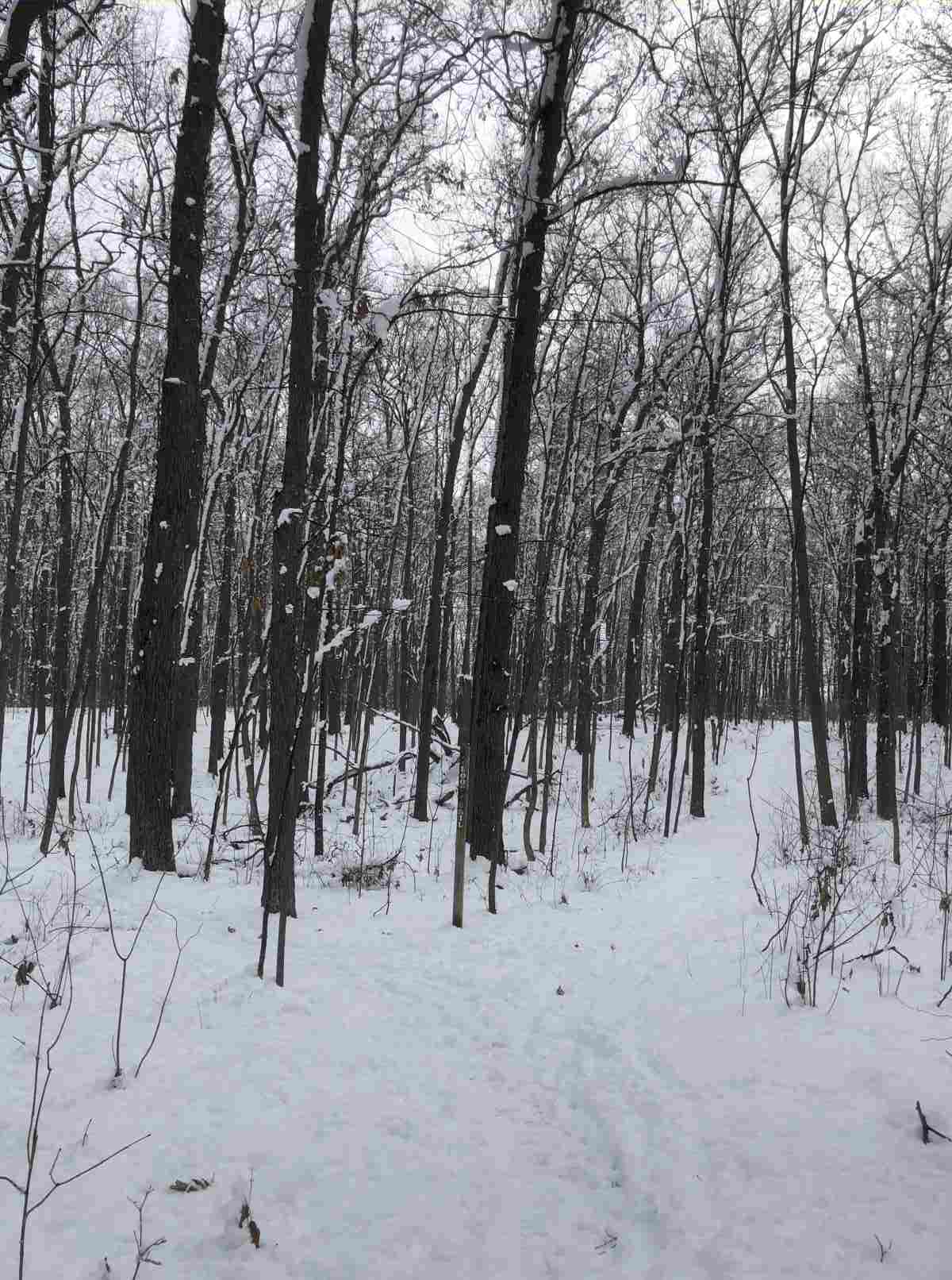 Loop Trail, heading east or south