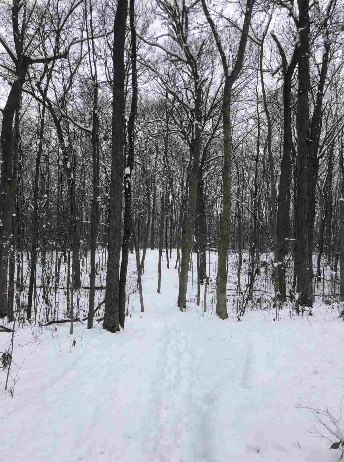 Loop Trail, heading east