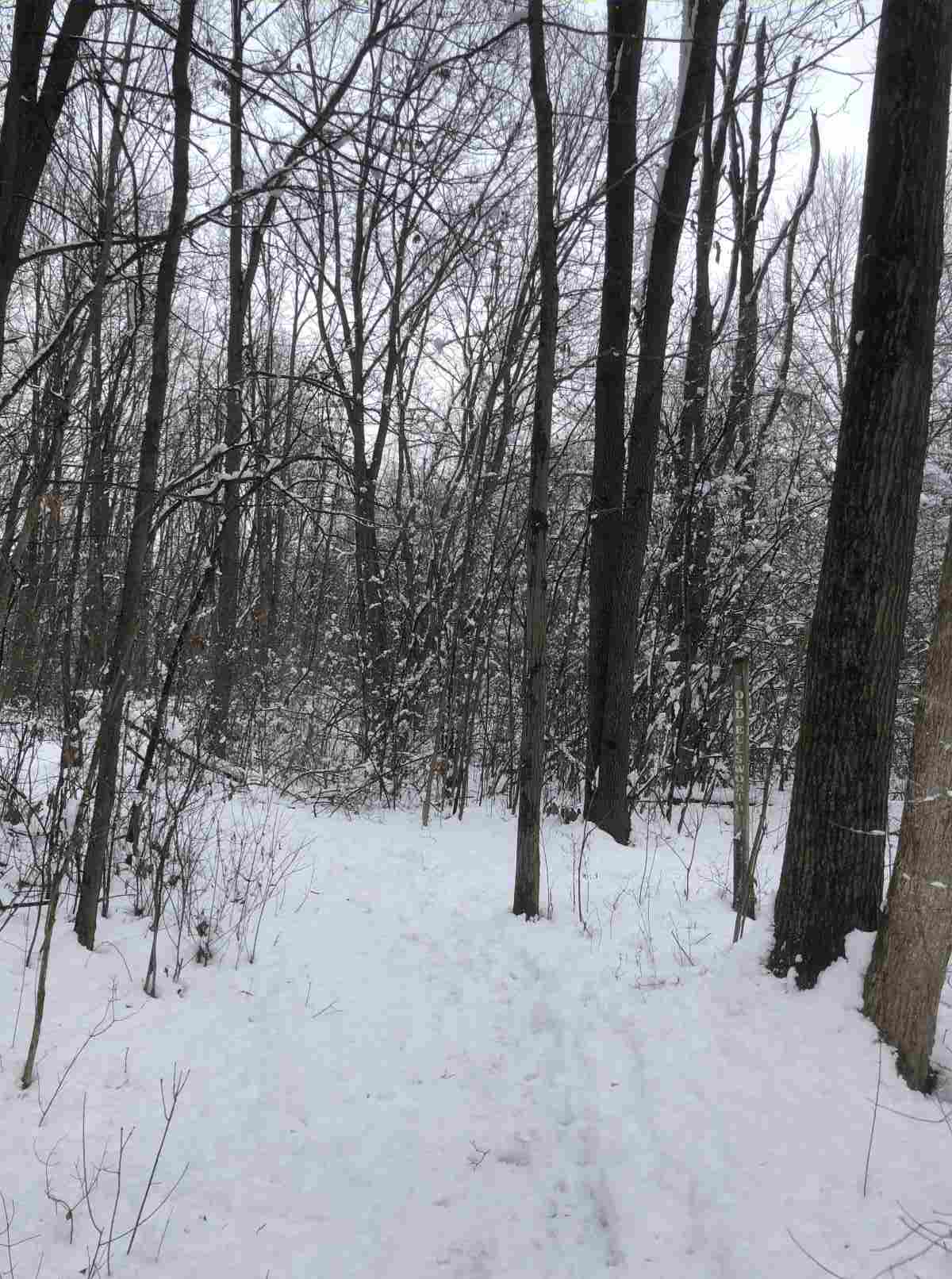 Loop Trail, loop or old Ellsworth