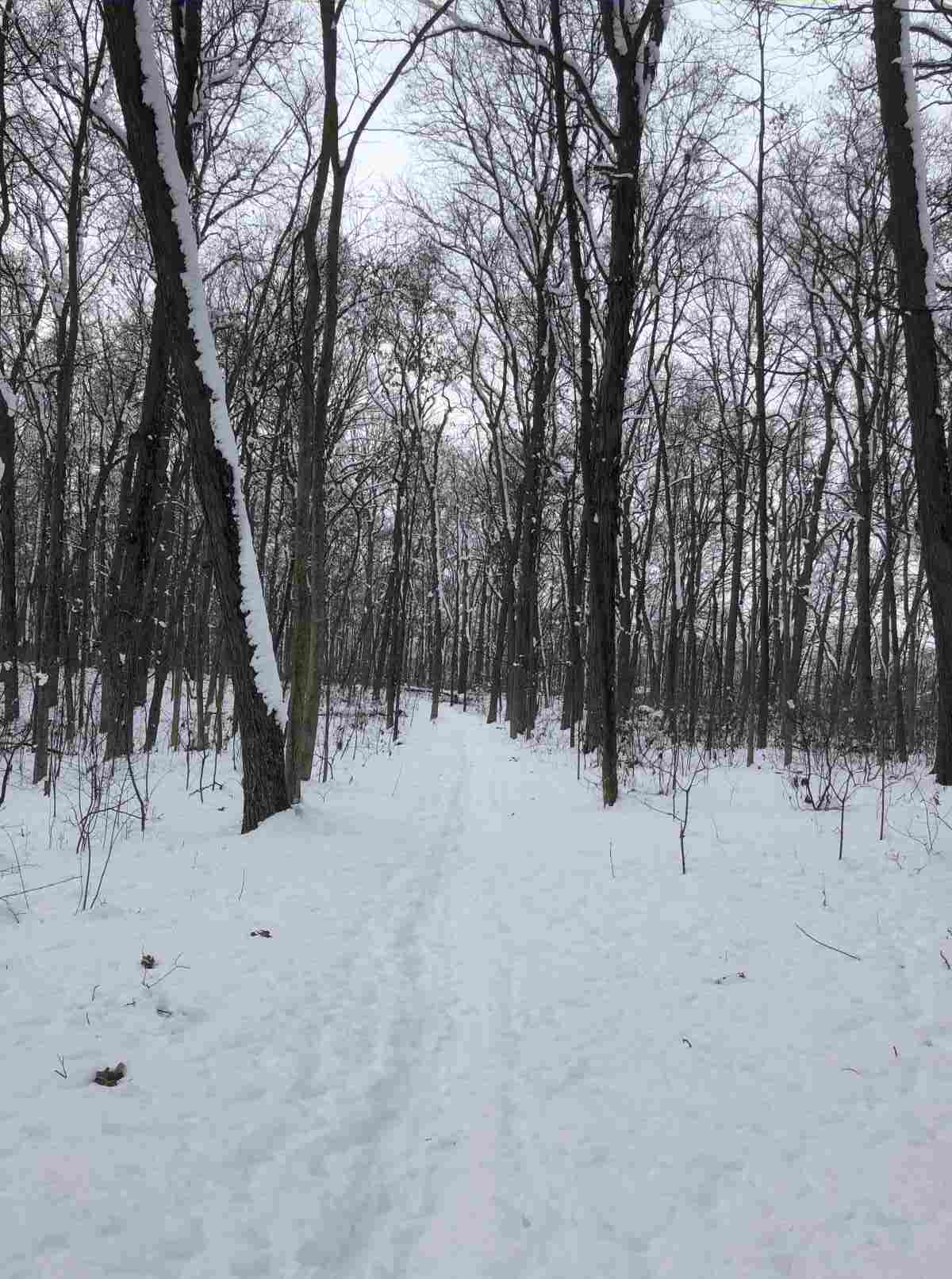 Loop trail, heading toward entrance