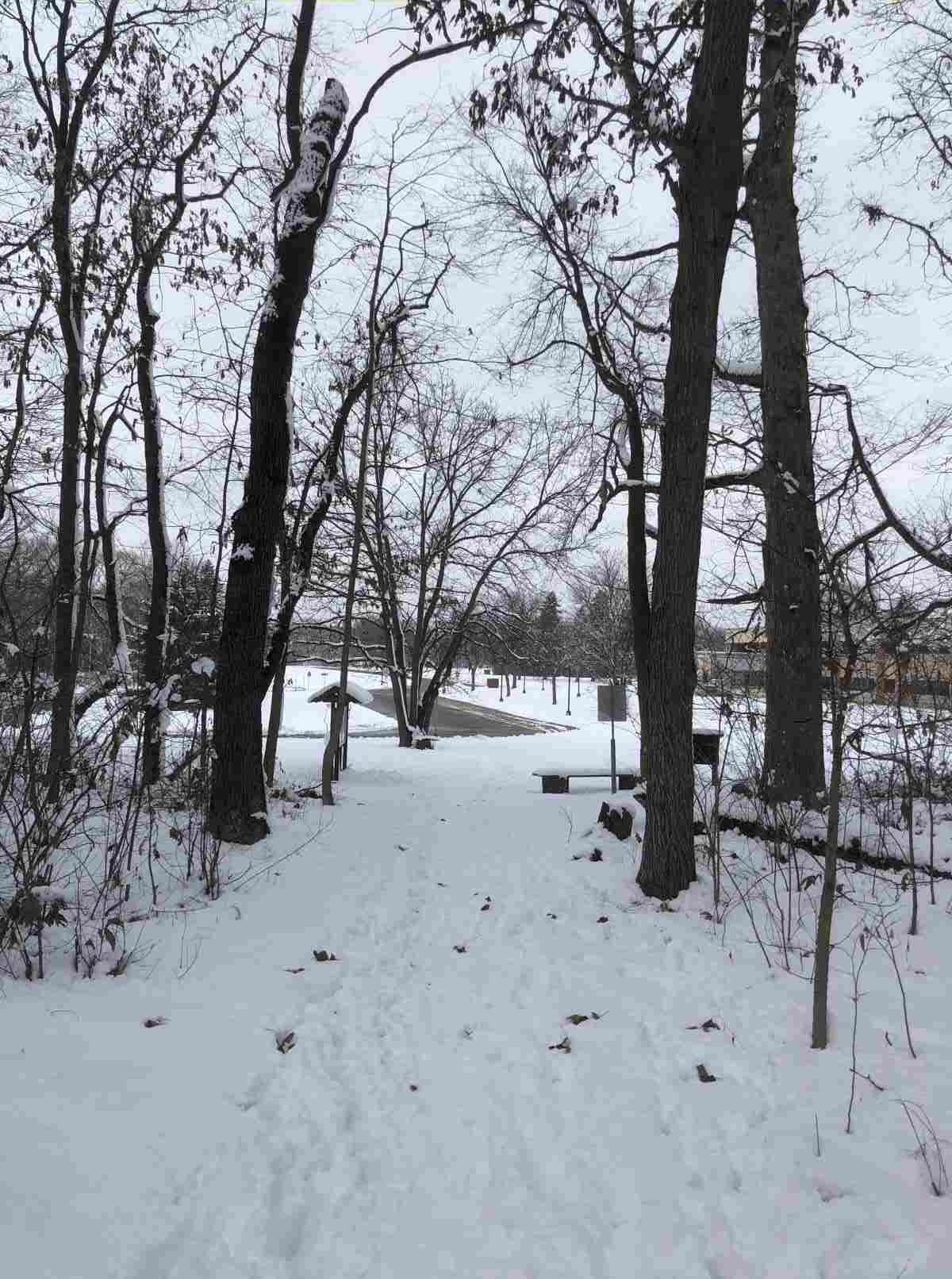 Loop Trail, back to the entrance