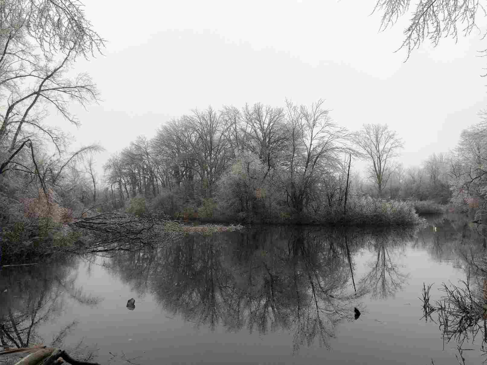 The pond after the Feb 23, 2023 ice strom