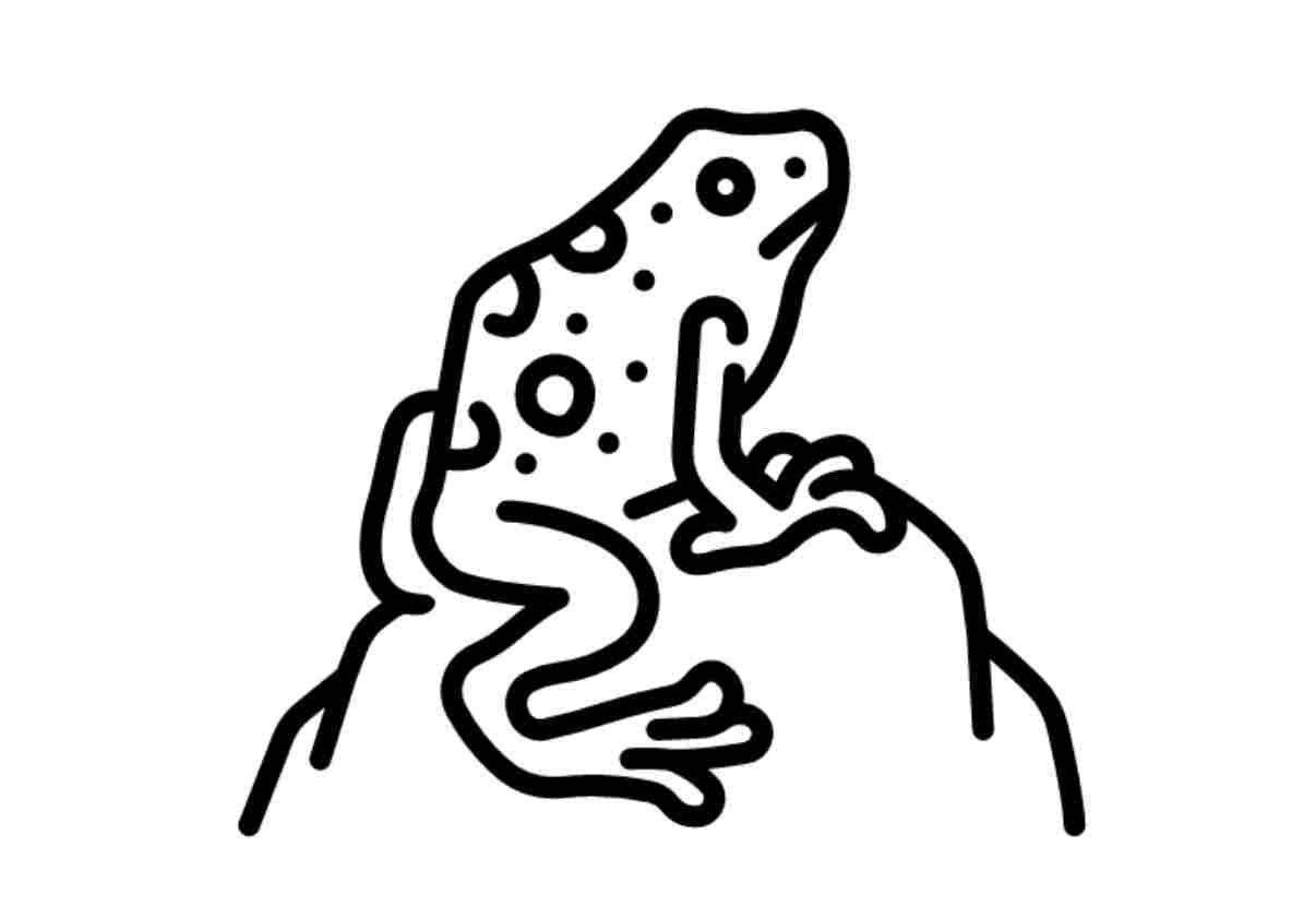 Frog icon