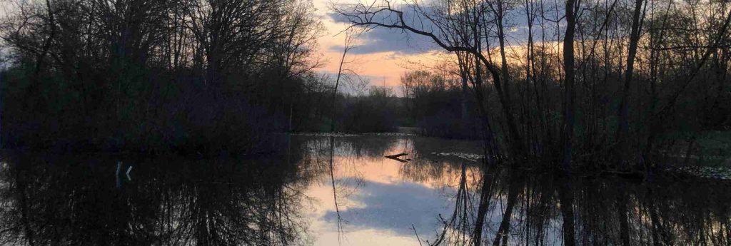 Dawn at the pond in the spring