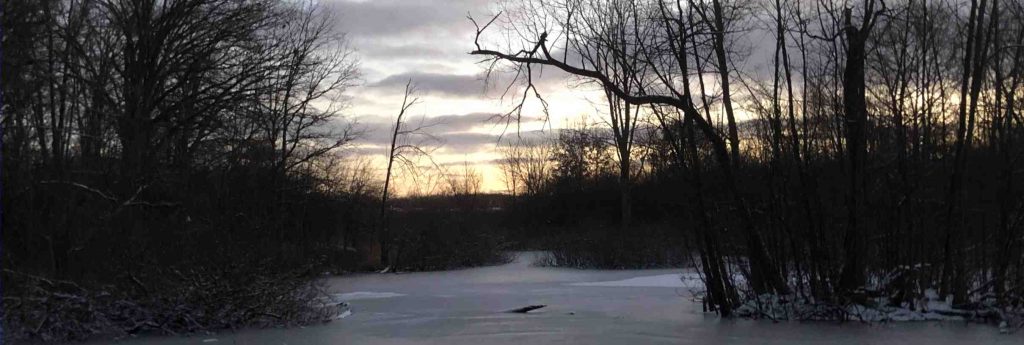 Winter solstice at the pond