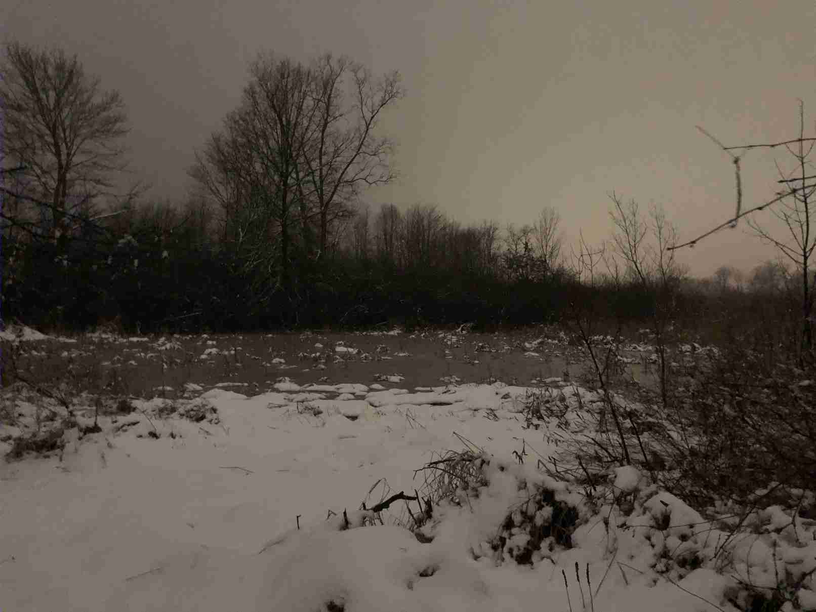 Marsh at night after a snow