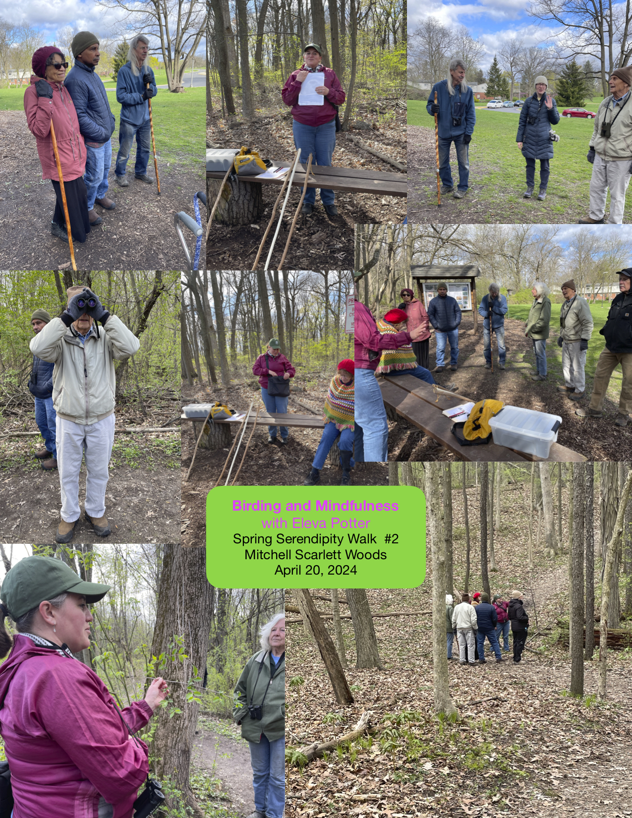 Birding and Mindfulness walk collage