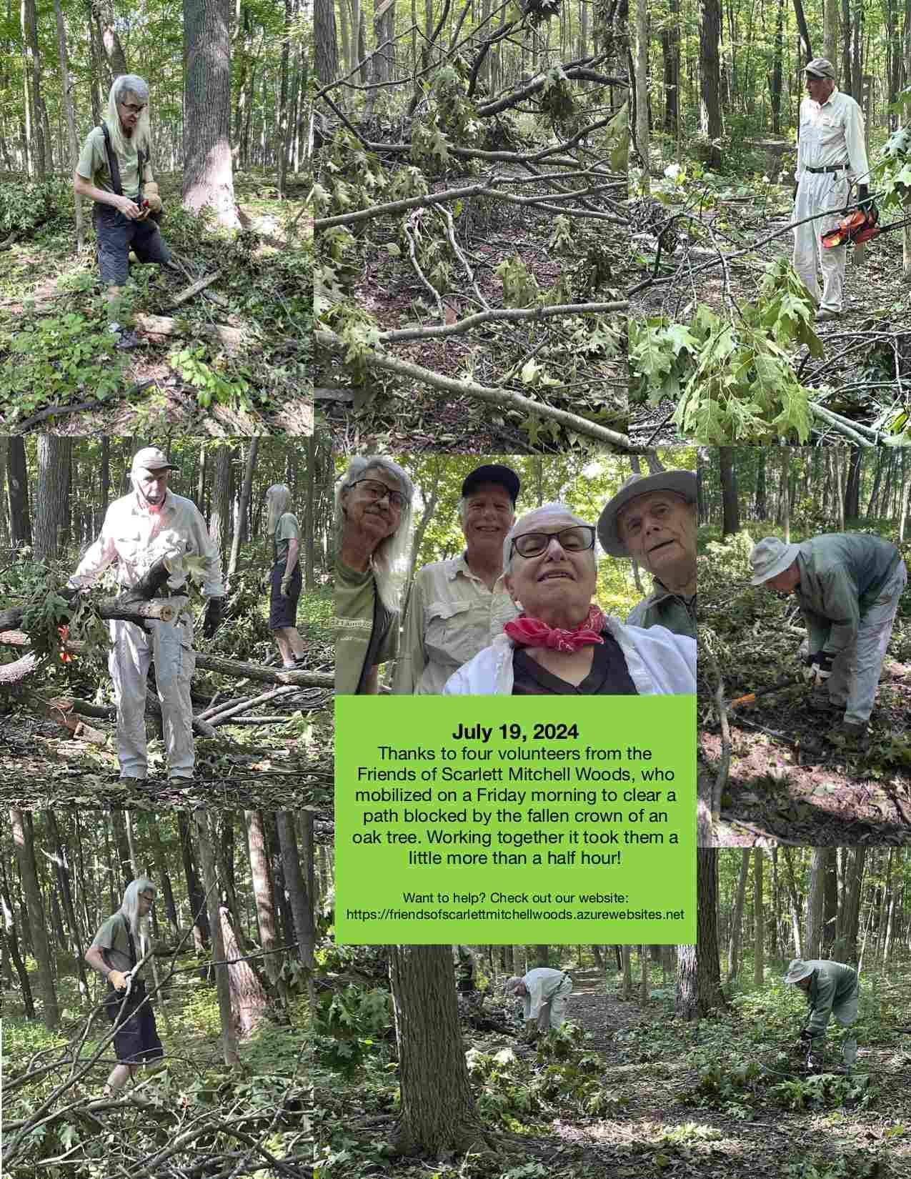 Collage of cleaning downed oak tree