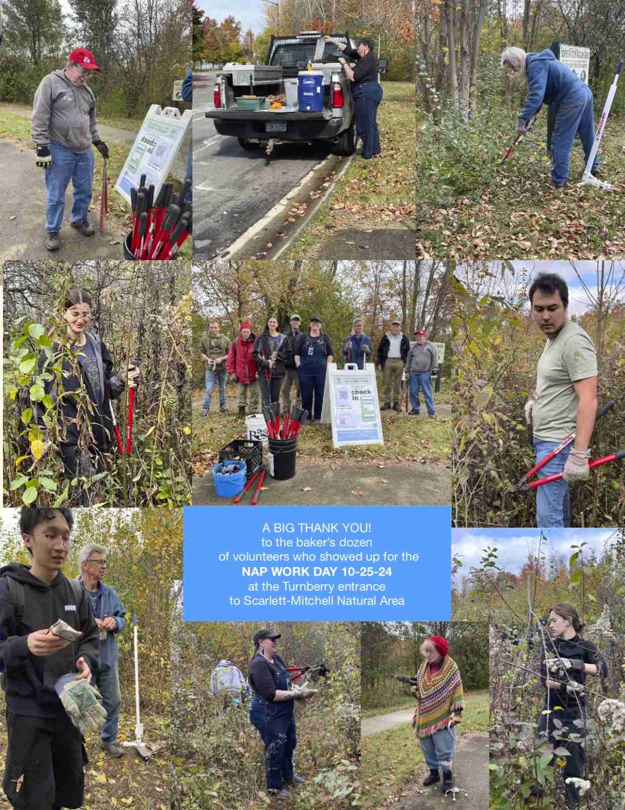 Images NAP of volunteers at work removing buckthorn