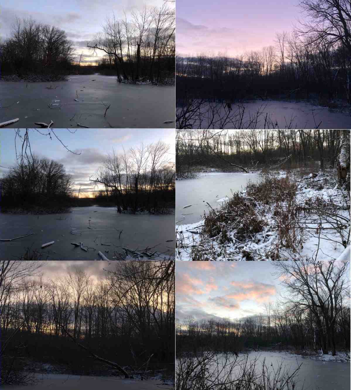 Winter Solstice Collage - 6 pictures