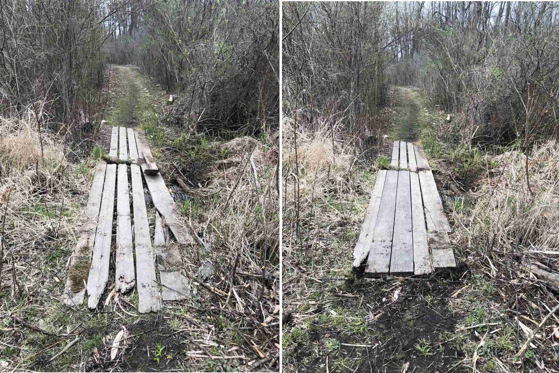 Before and after stream bridge