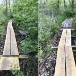 4 photos of the boardwalk