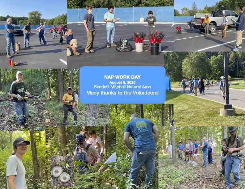 Collage of August 9th 2025 Workday
