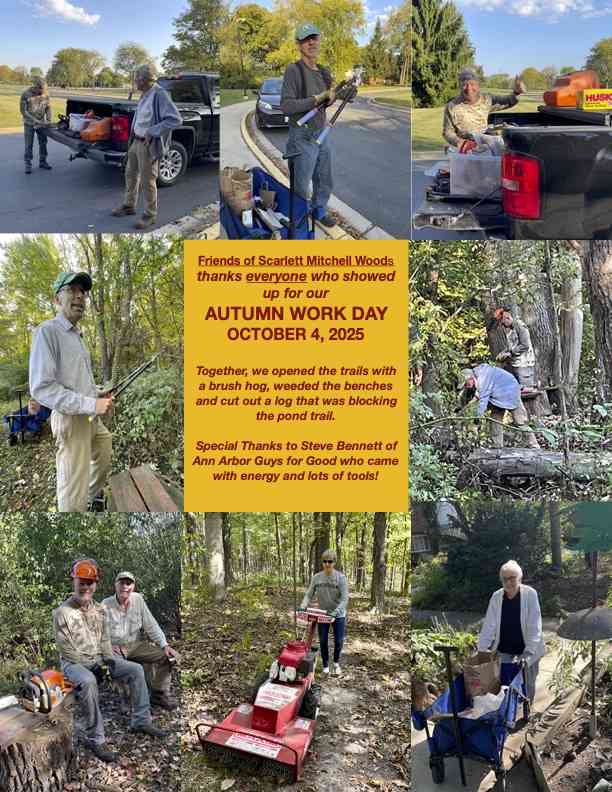 Collage of activities of the workday