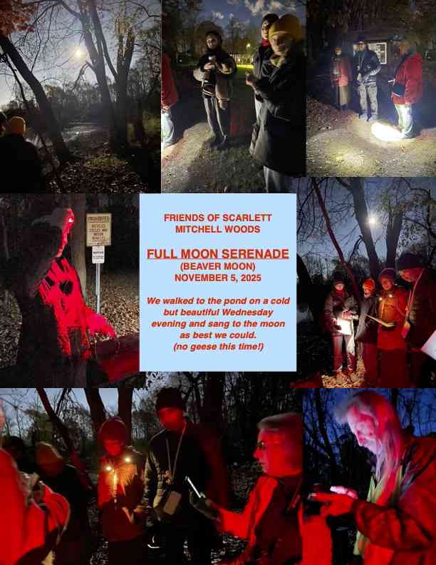 Collage of Full Moon Serenade