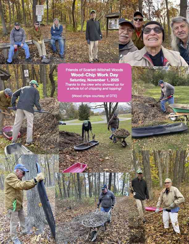 Collage of Wood Chip Workday