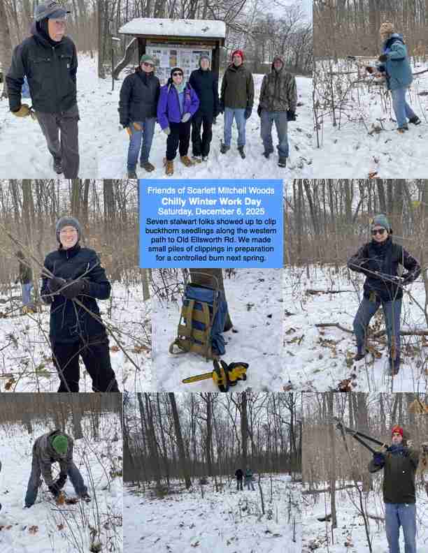 2025 Winter workday collage