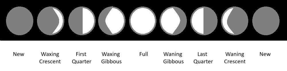 Phases of the Moon