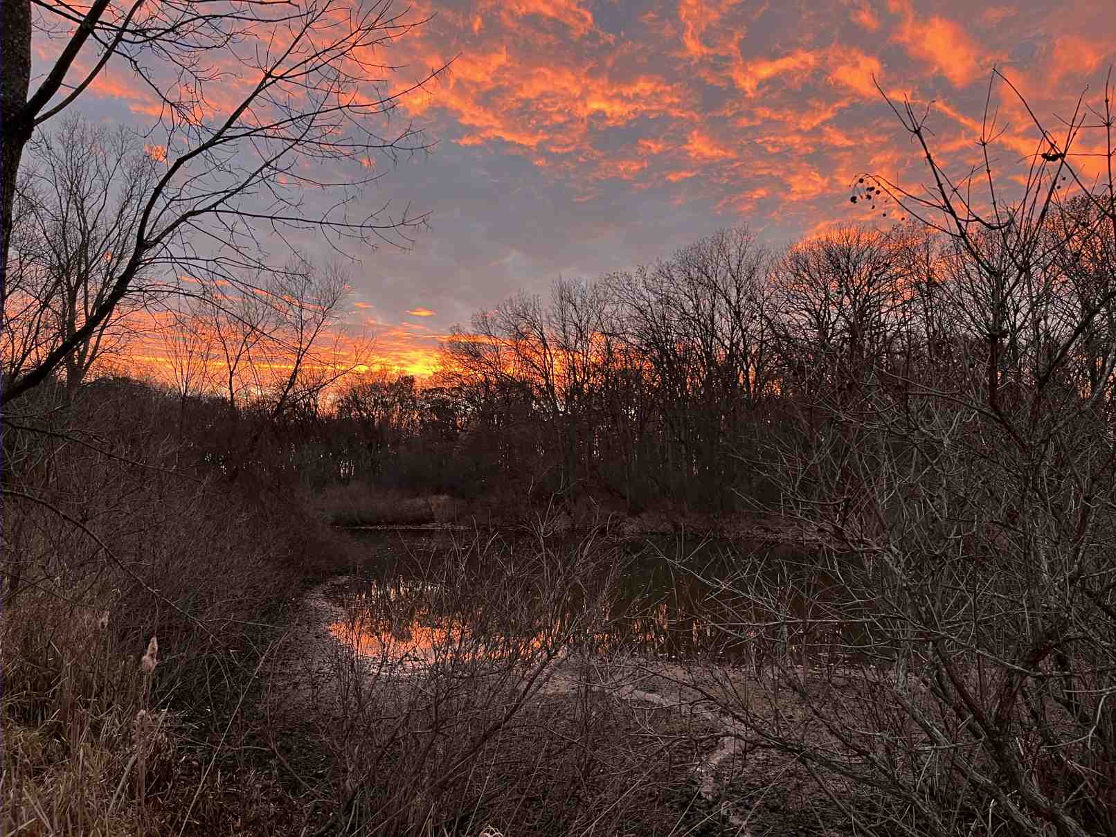 Sunset at the pond on November 23 2025