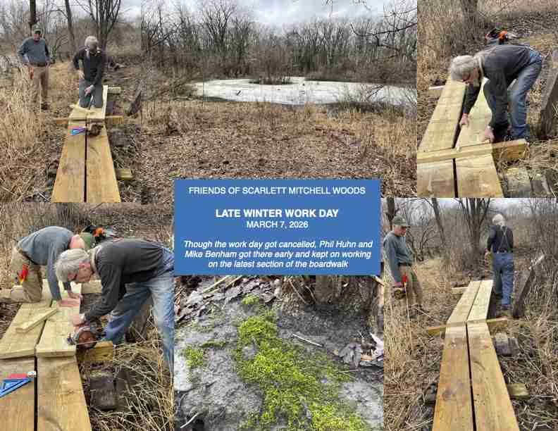 March 3, 2026 - Workday Collage