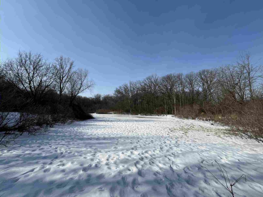 Winter on the pond from the east end