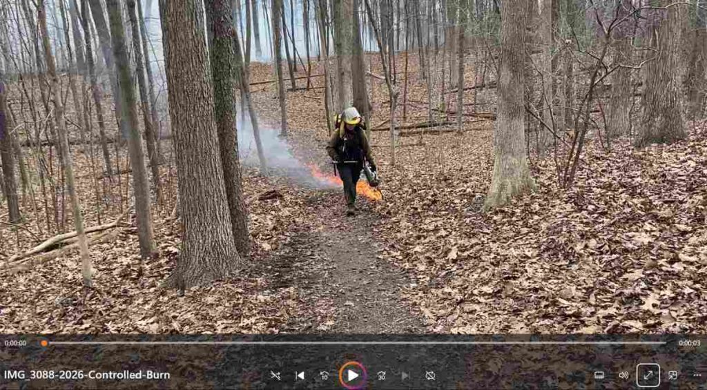 2026-03-29 Controlled Burn video