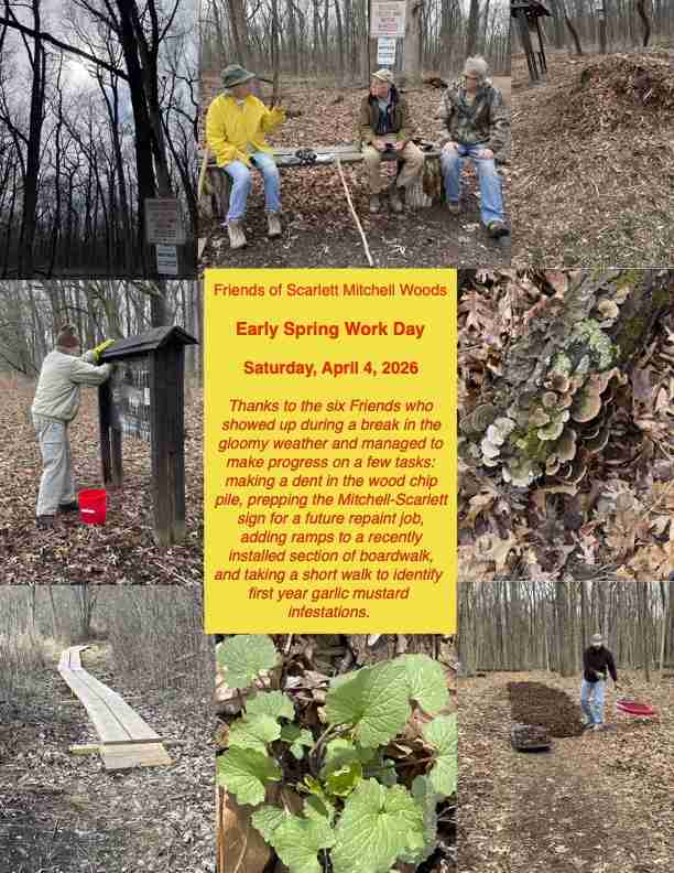 April 4, 2026 - workday collage