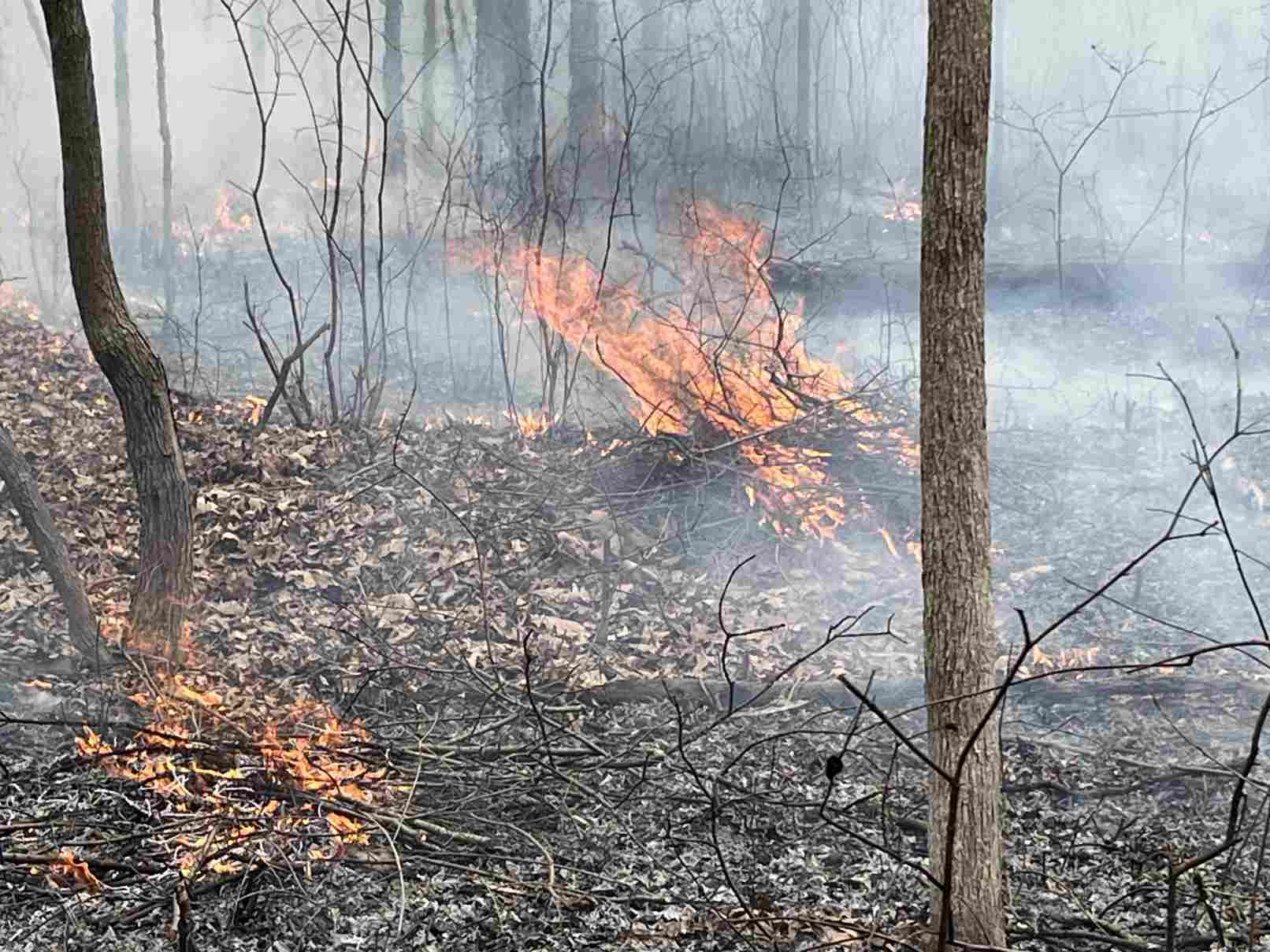 Controlled burn March 2026