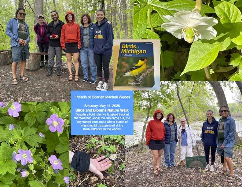 Birds and blooms nature walk (collage)