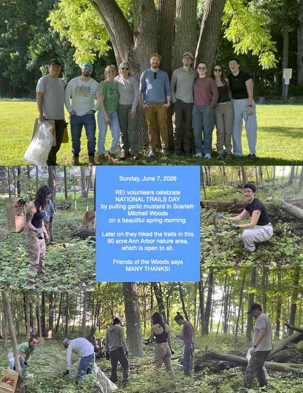 REI Volunteers workday 2026