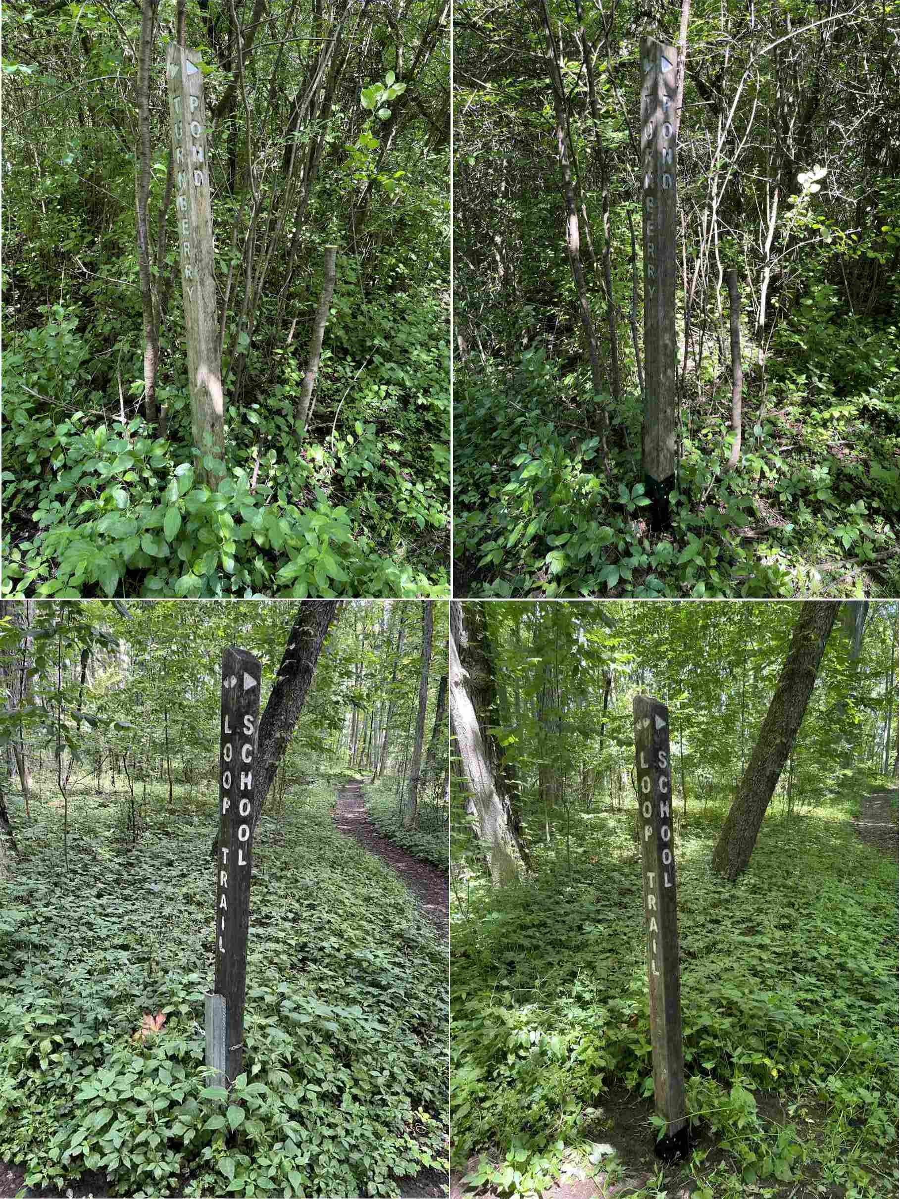 Two repaired trail marker (before and after) collage