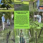 June 27, 2026 - workday collage